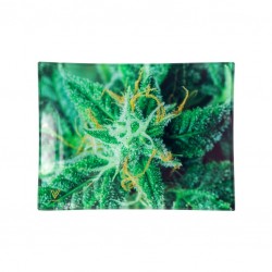 AK47 buds Small glass rolling tray Wholesale for growshops